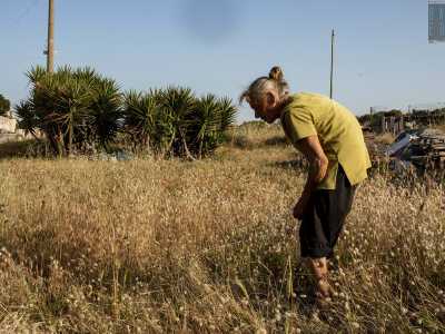 ...l� dove incontriamo Maria, intenta a sistemare alcune aste di legno e a curare instancabilmente la sua terra
